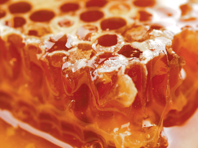 FOOD: Honey