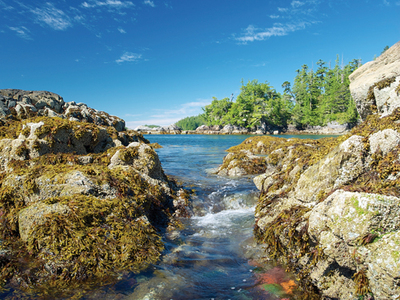 Exploring coastal B.C. by wooden schooner