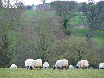 GETAWAY: Yorkshire Rambles