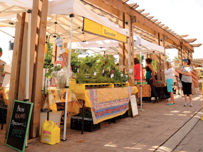 Visit a Farmer's Market