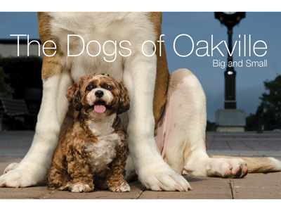 New Dogs of Oakville released