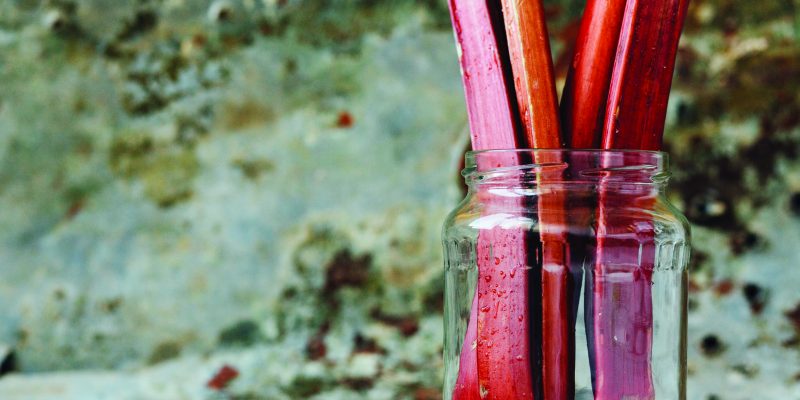 Resourceful Rhubarb