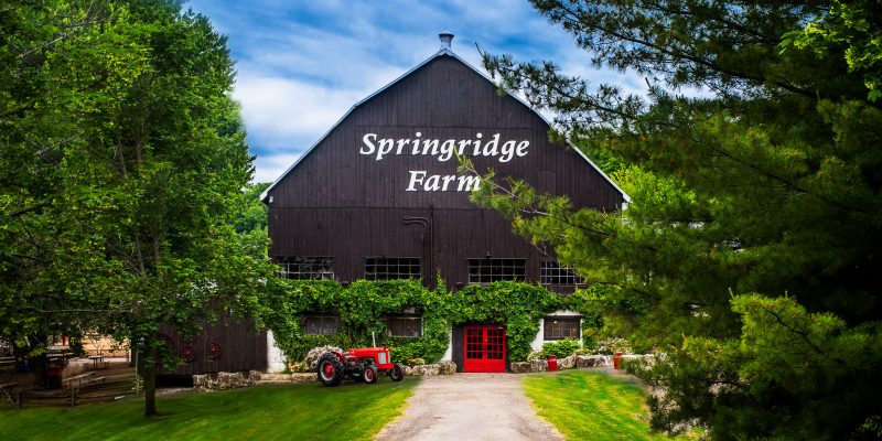 Springridge Farm celebrates 60 years