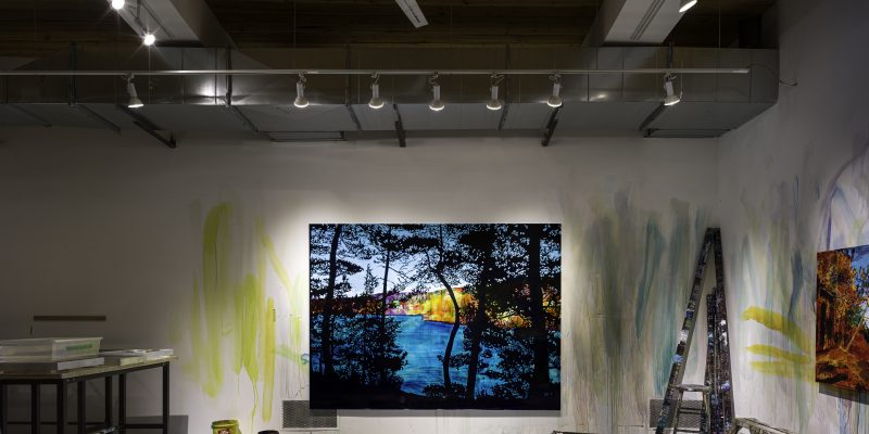 Steve Driscoll: The acclaimed painter brings Canada’s Boreal forest to life with an art installation at Toronto’s CIBC Square
